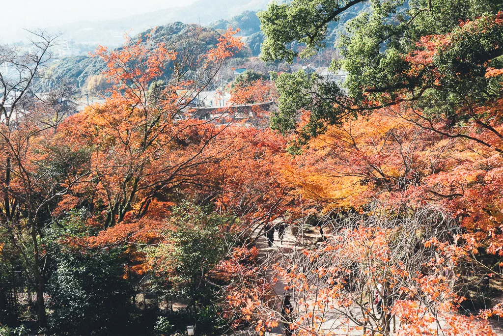 landscape image