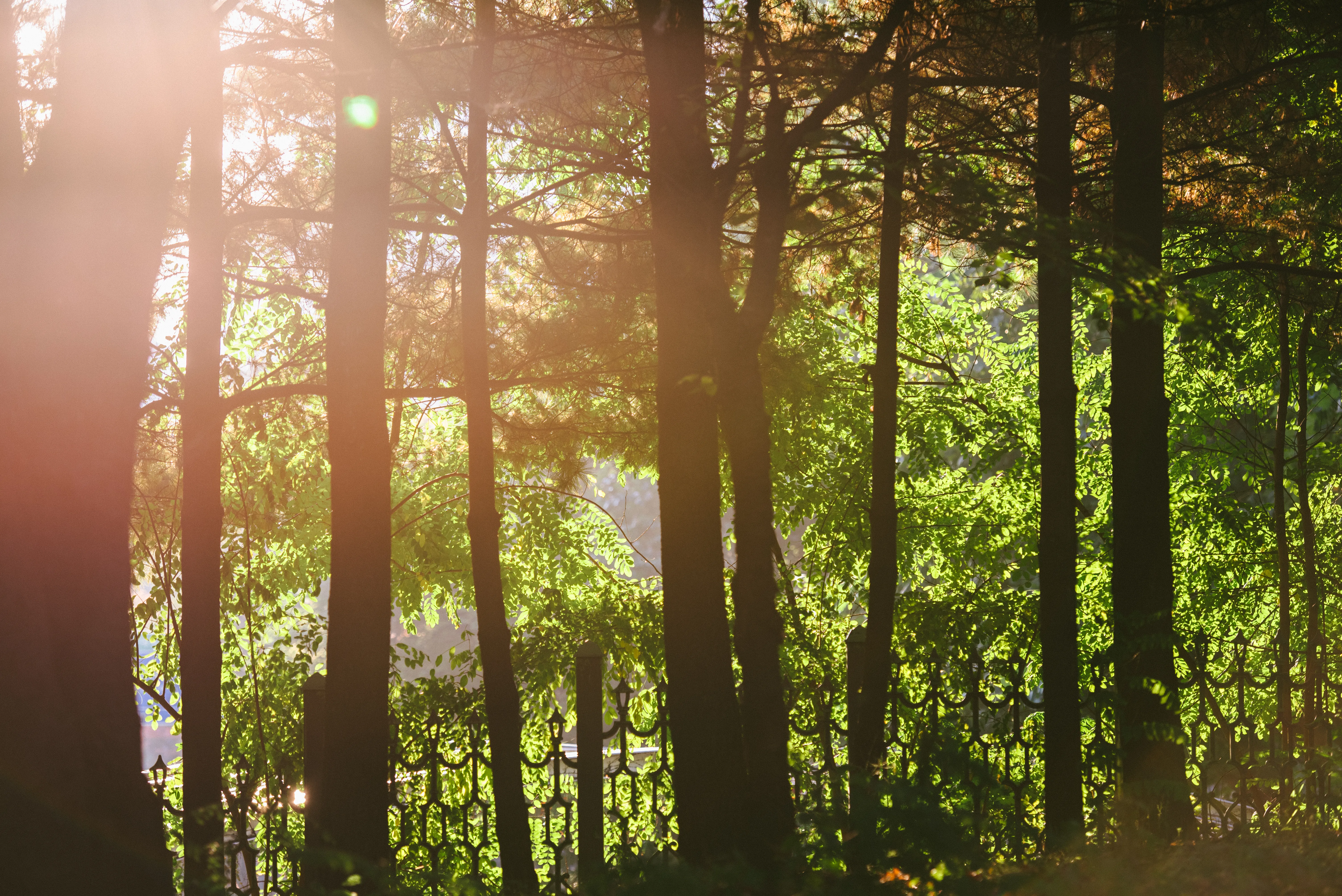 travel image