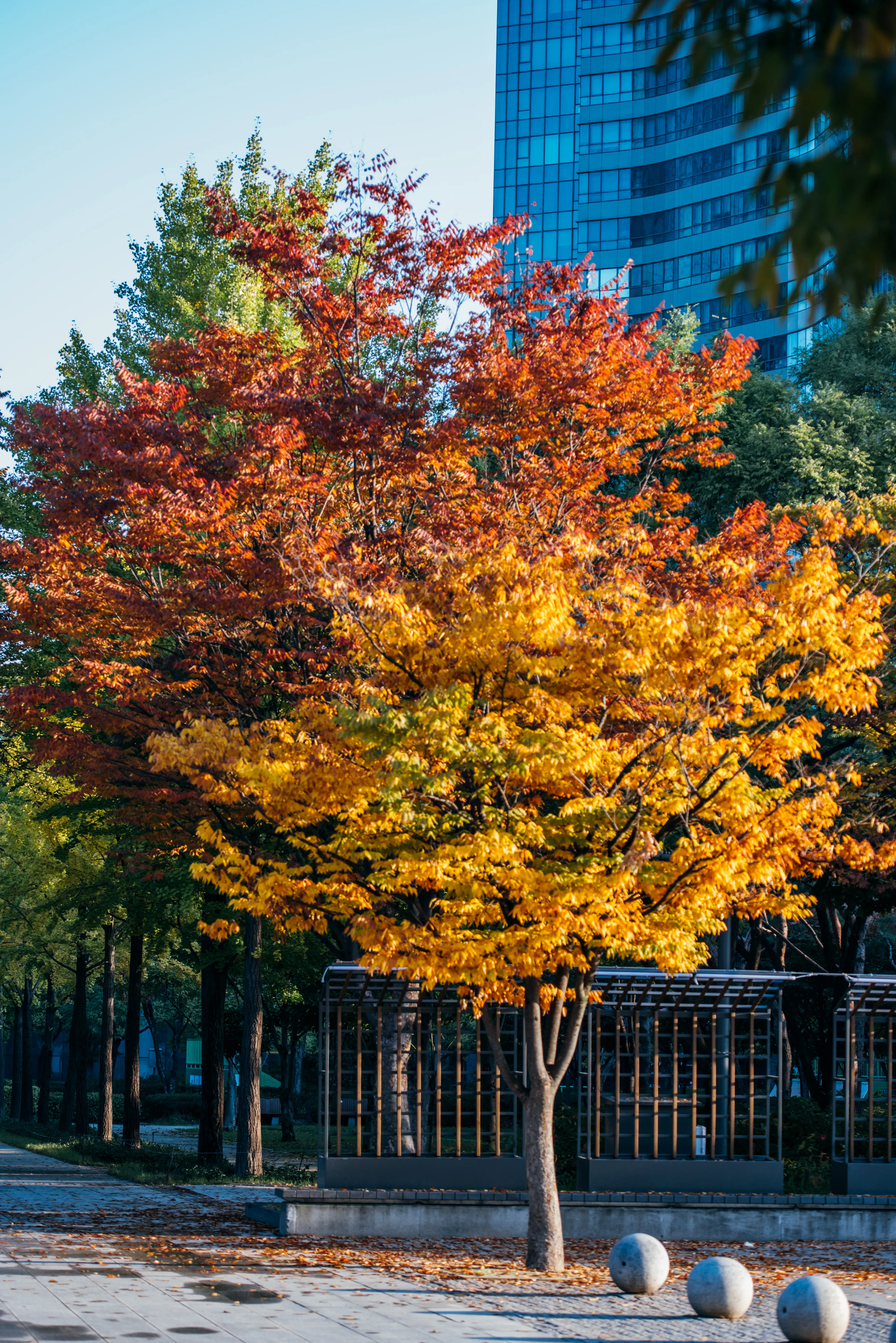 travel image