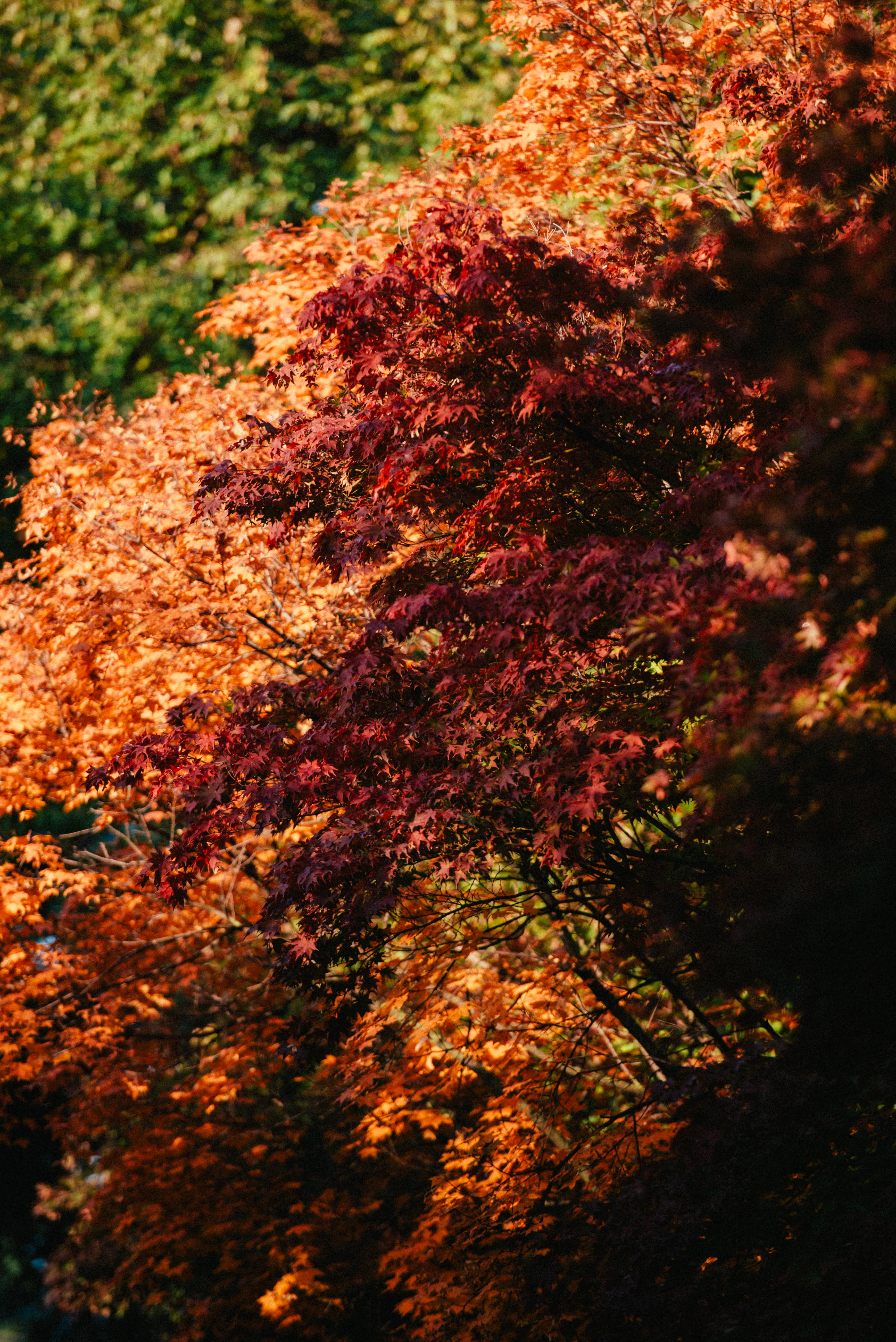 travel image