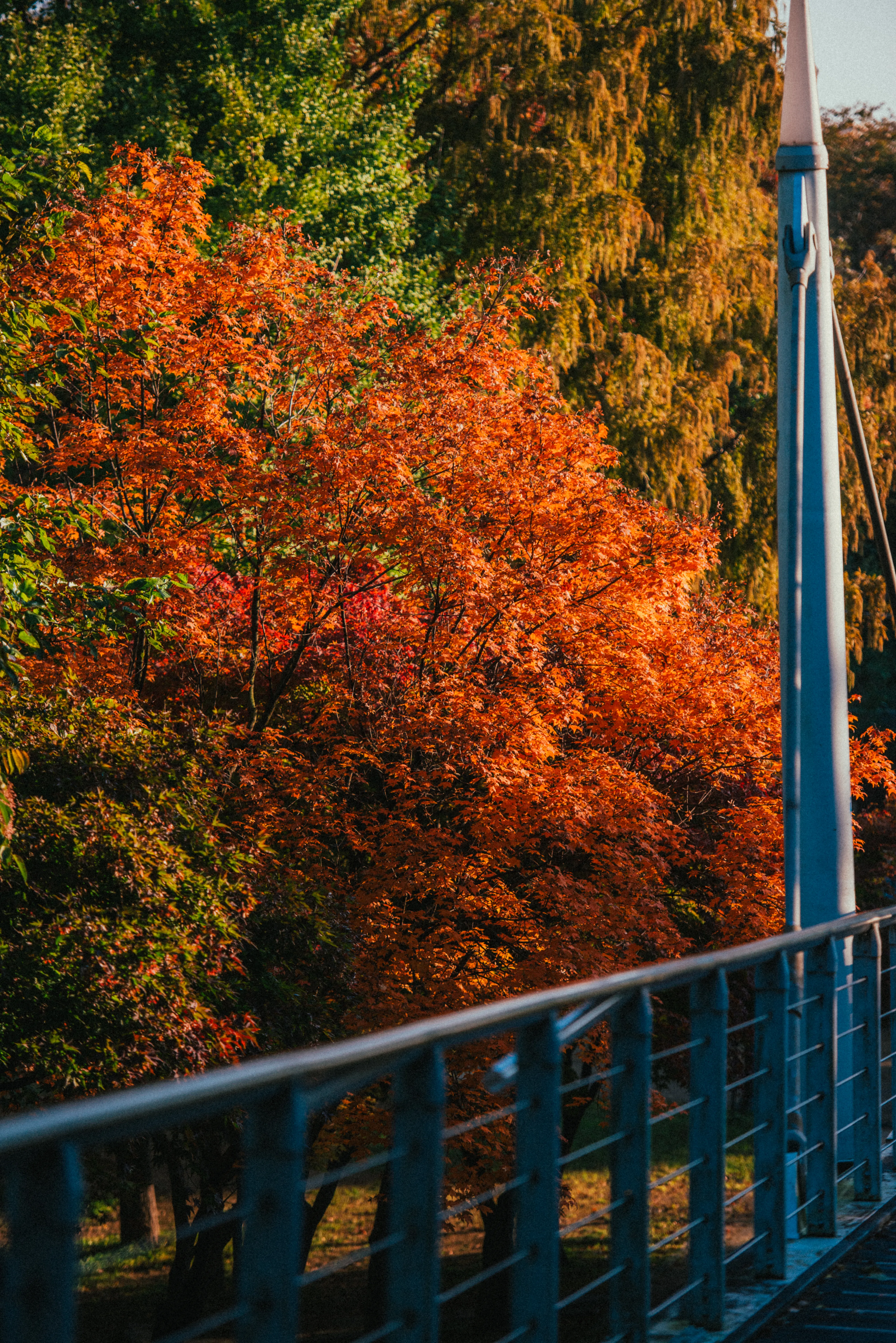 travel image