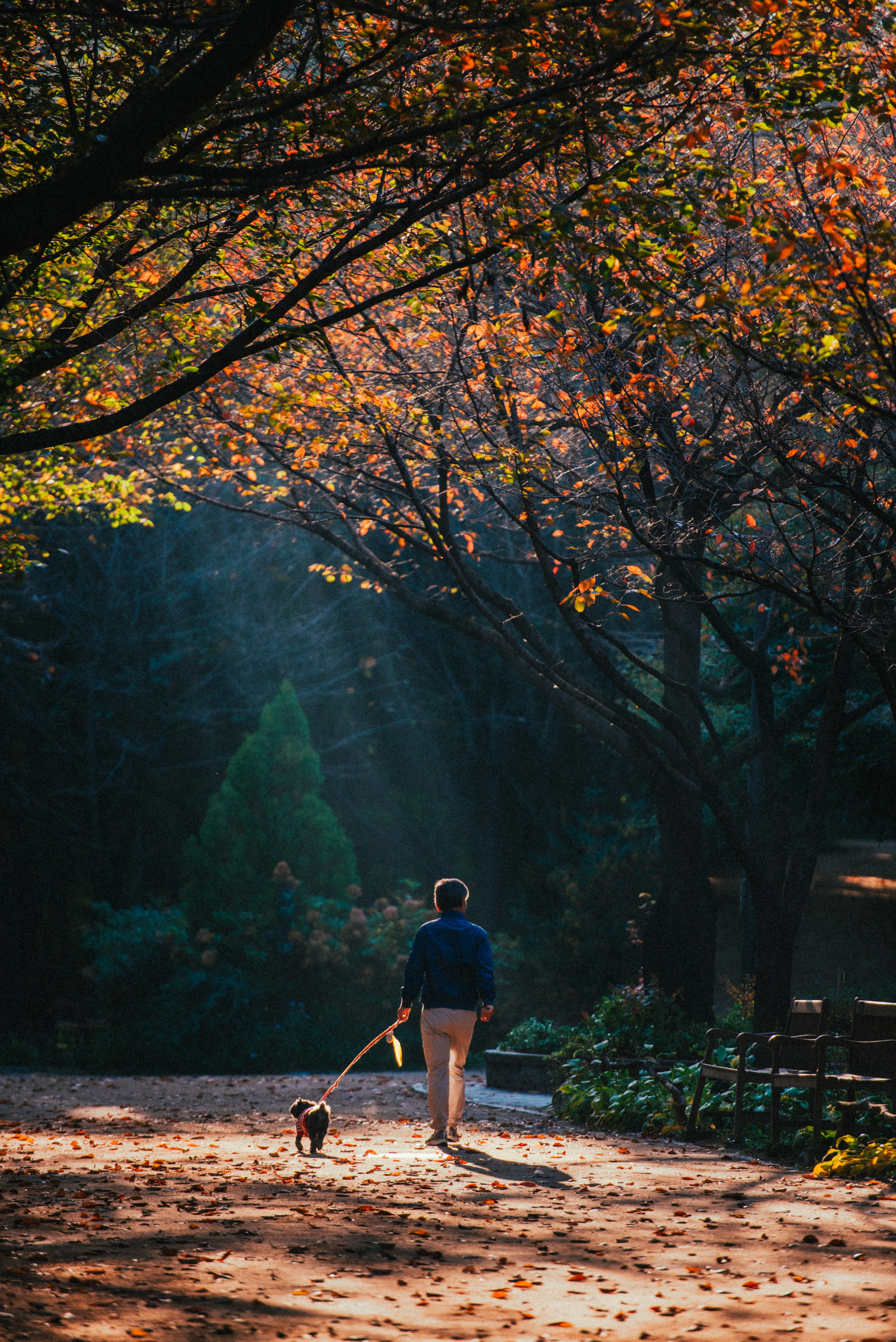 travel image