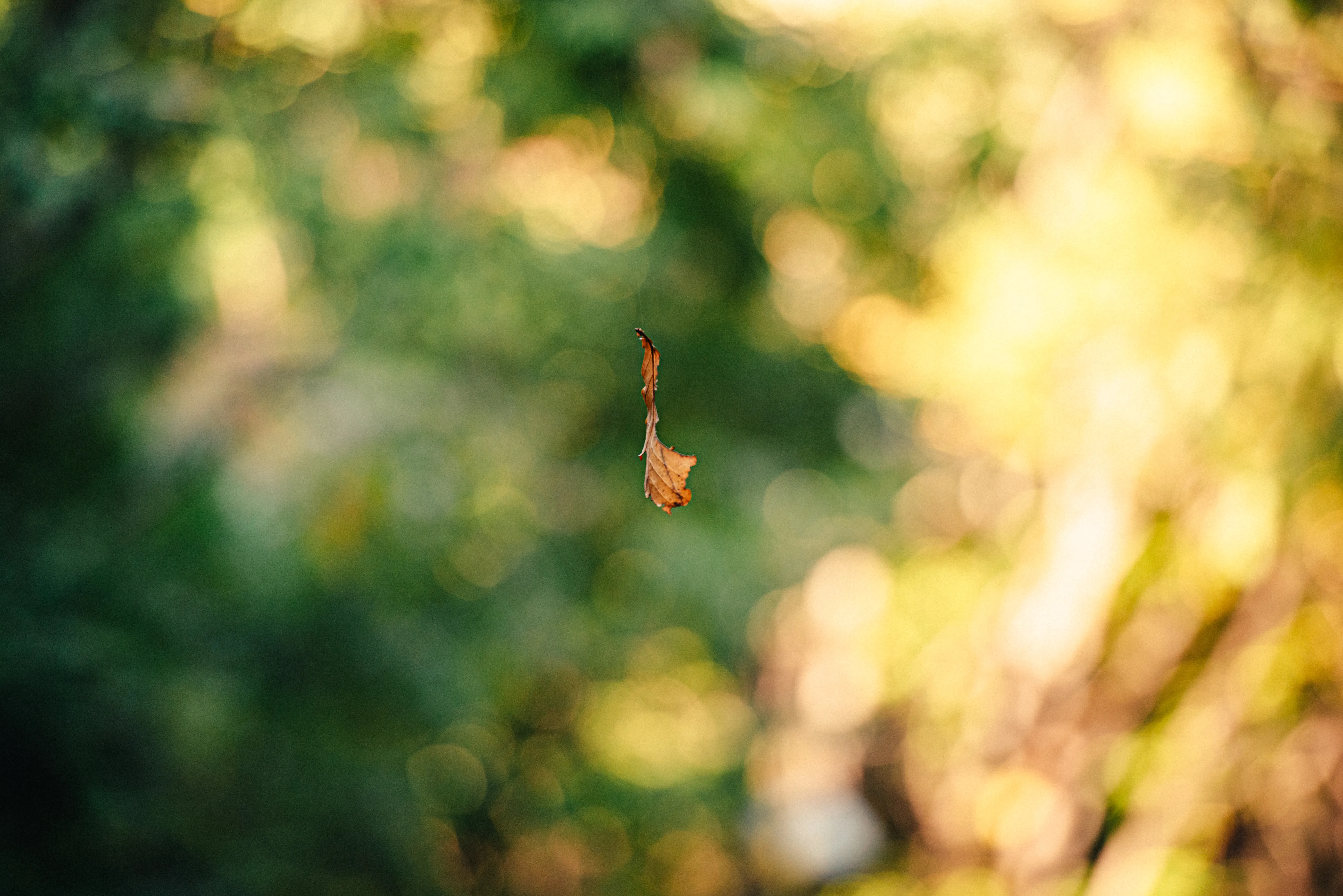 travel image