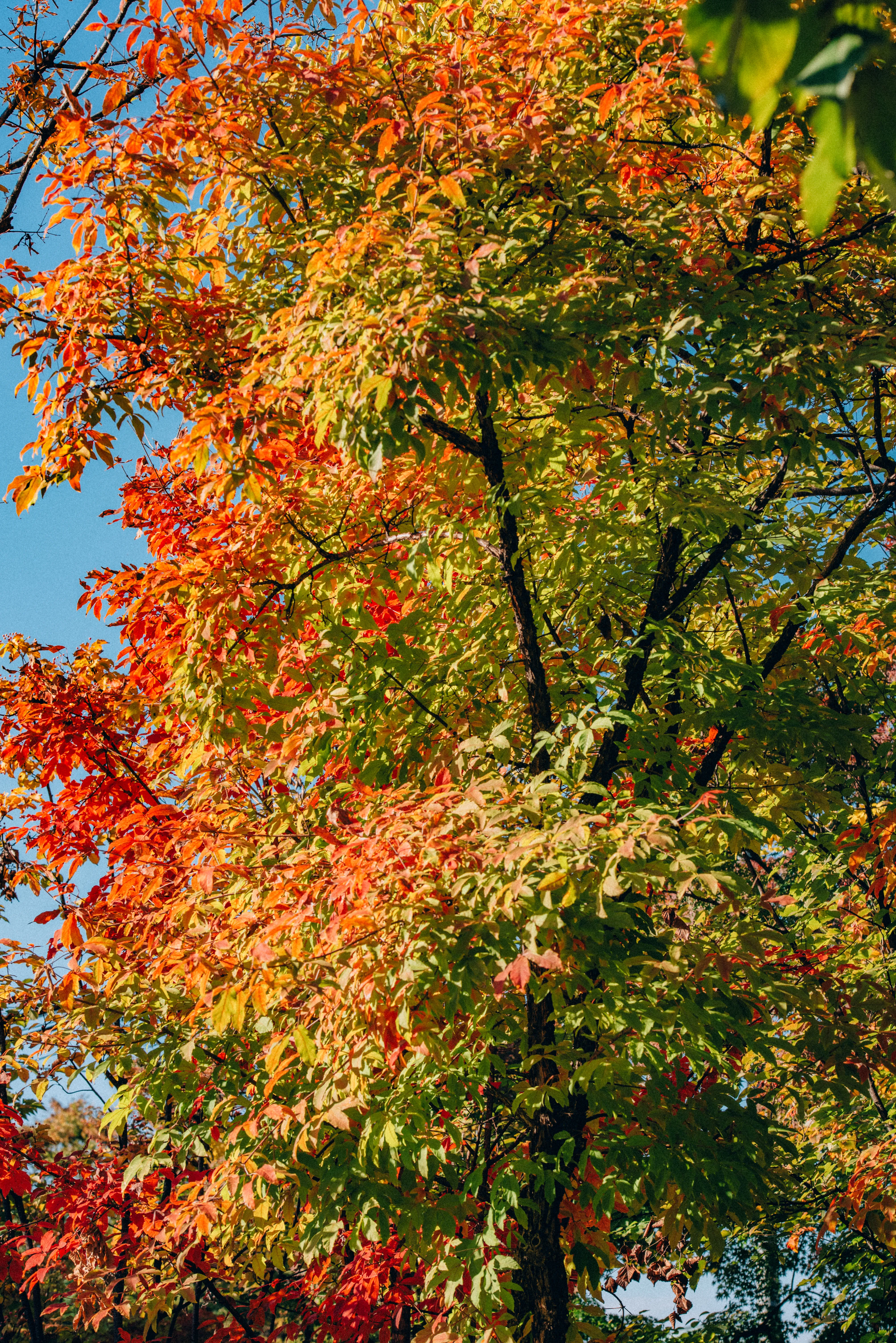 travel image