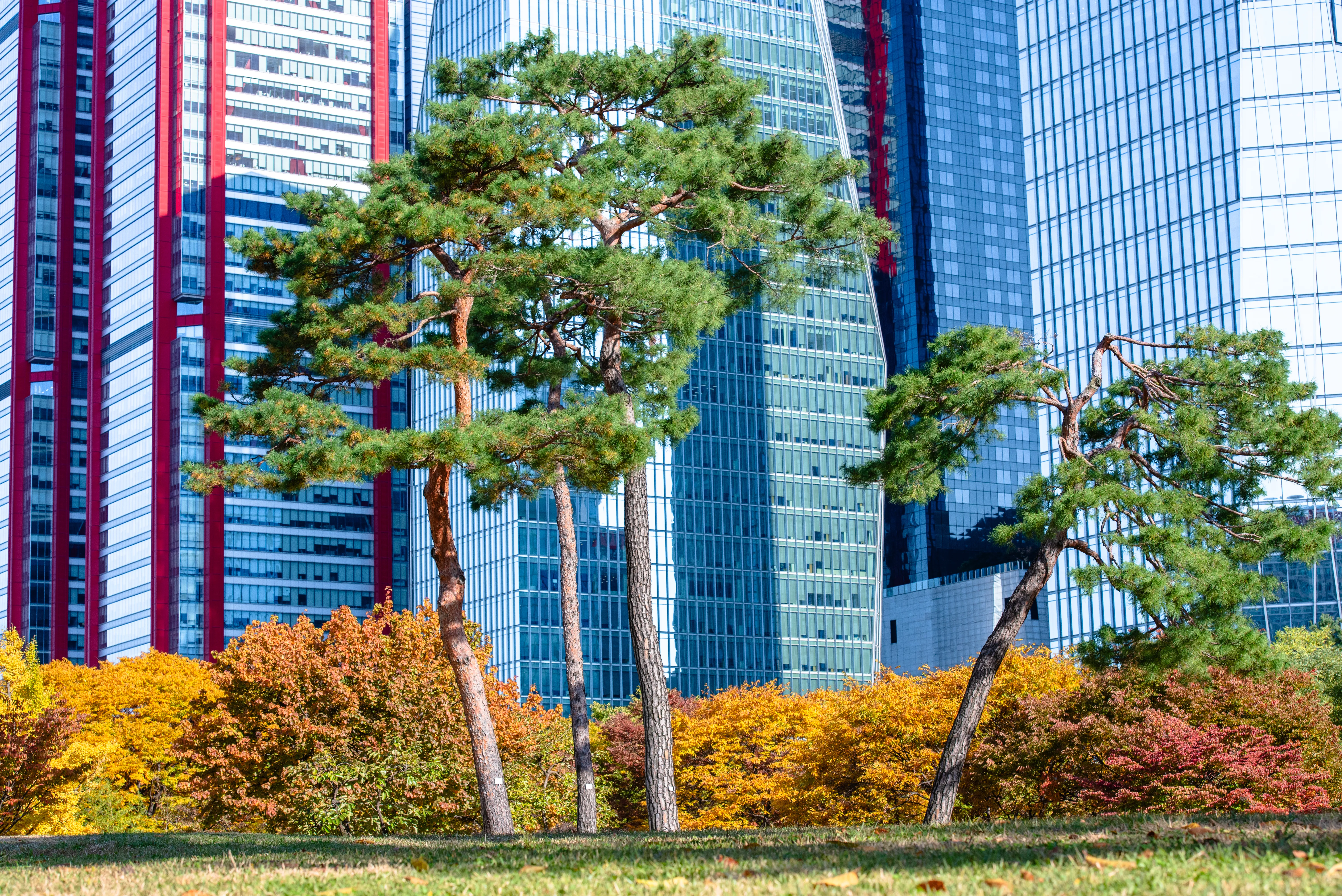 travel image
