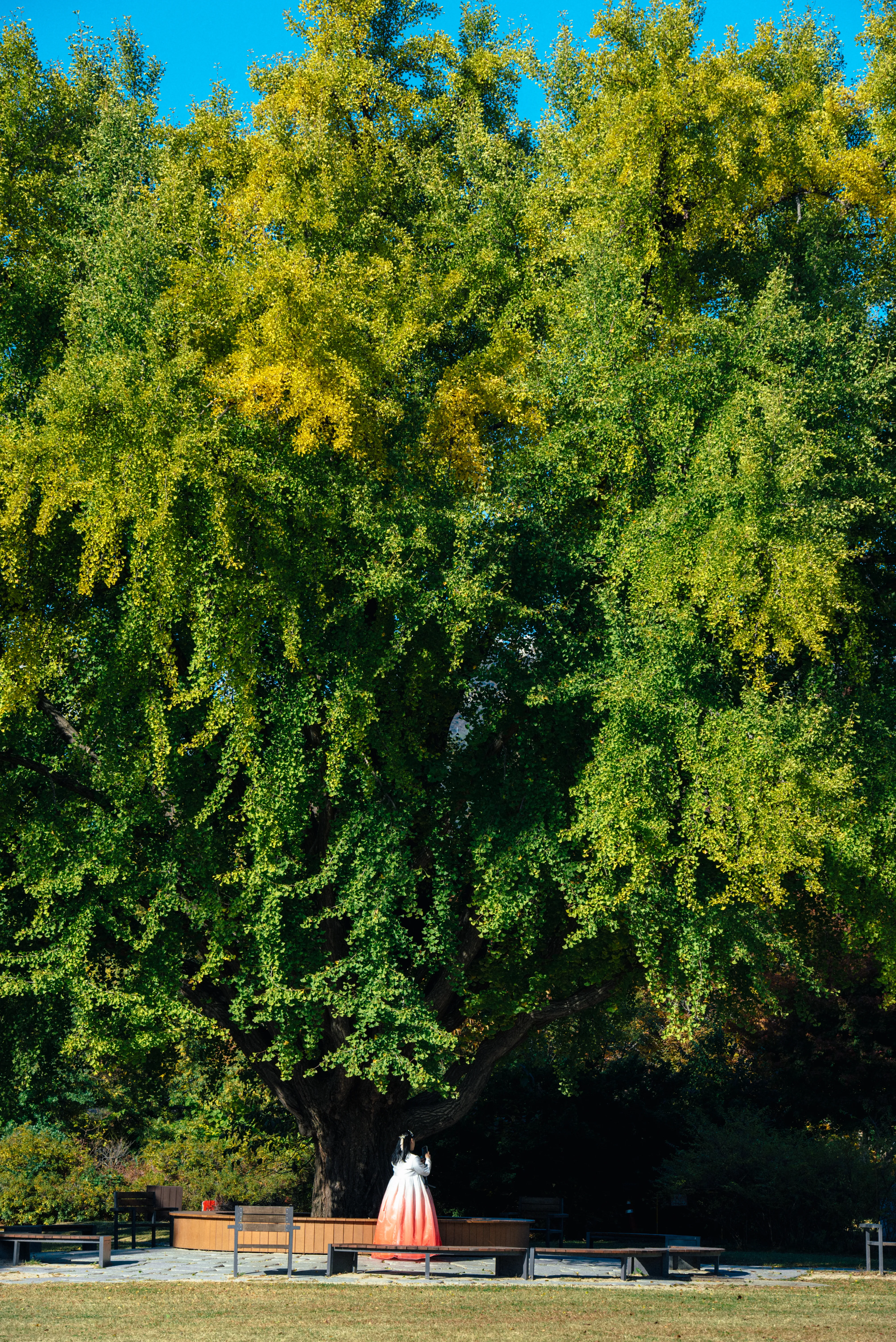 travel image