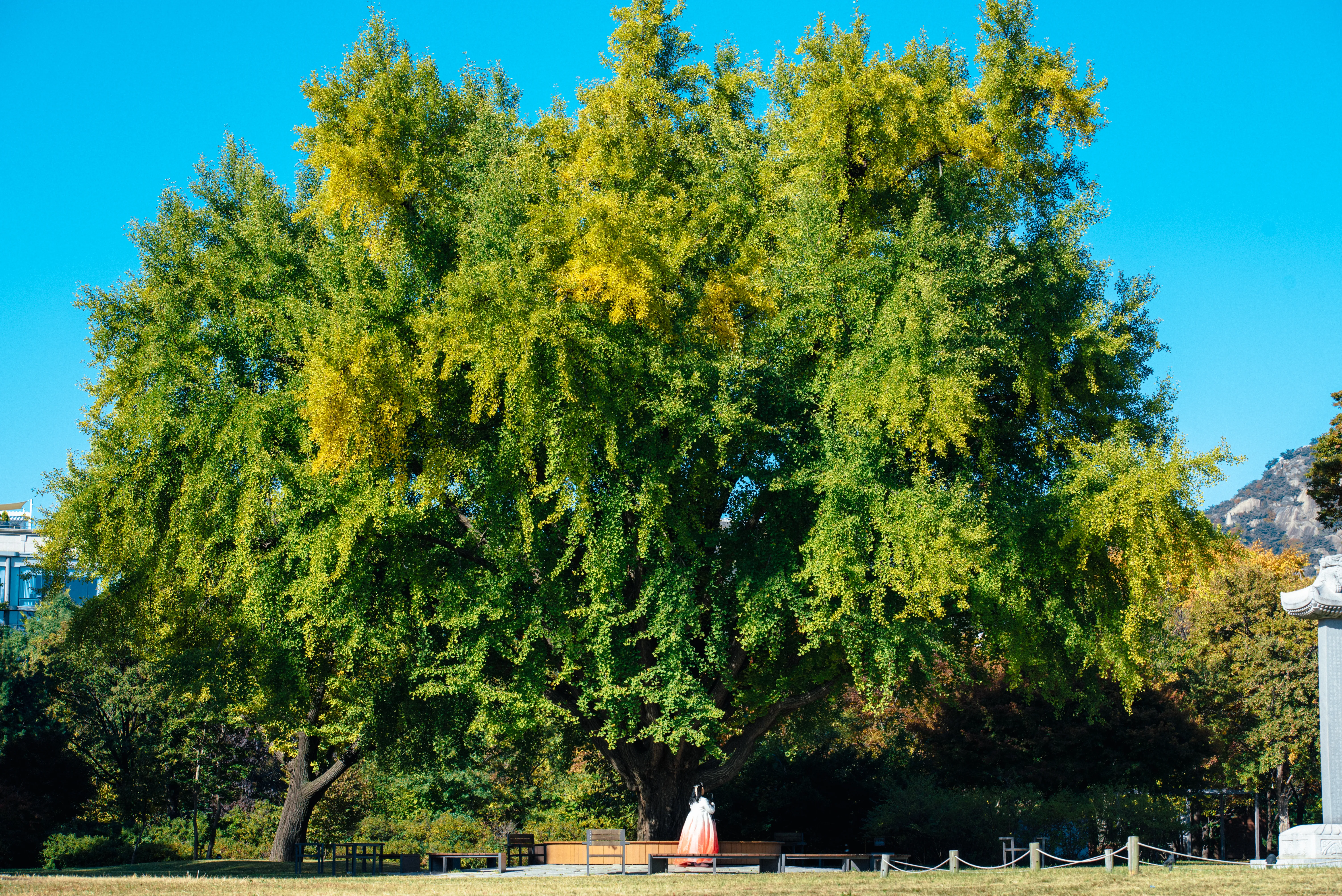 travel image