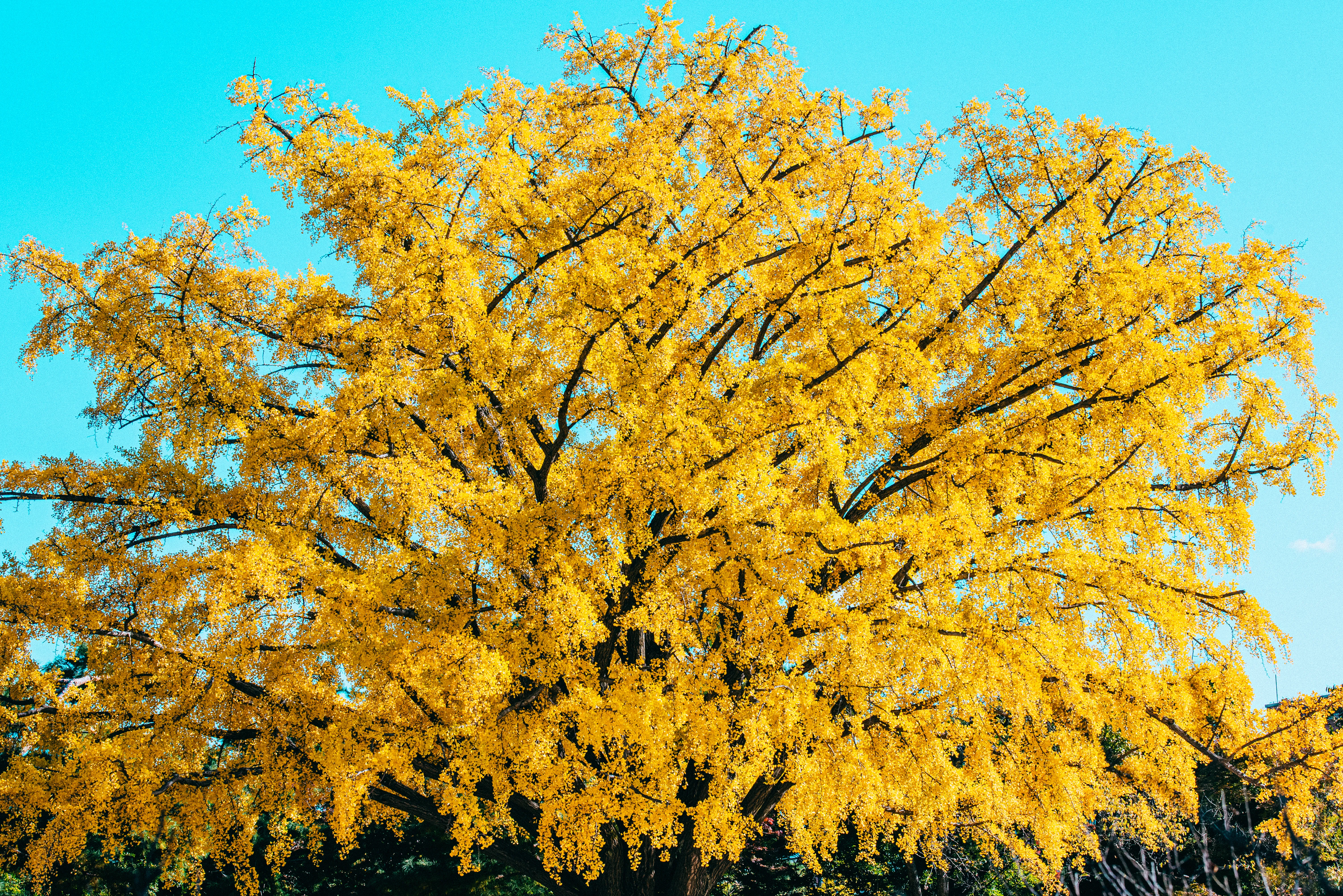 travel image