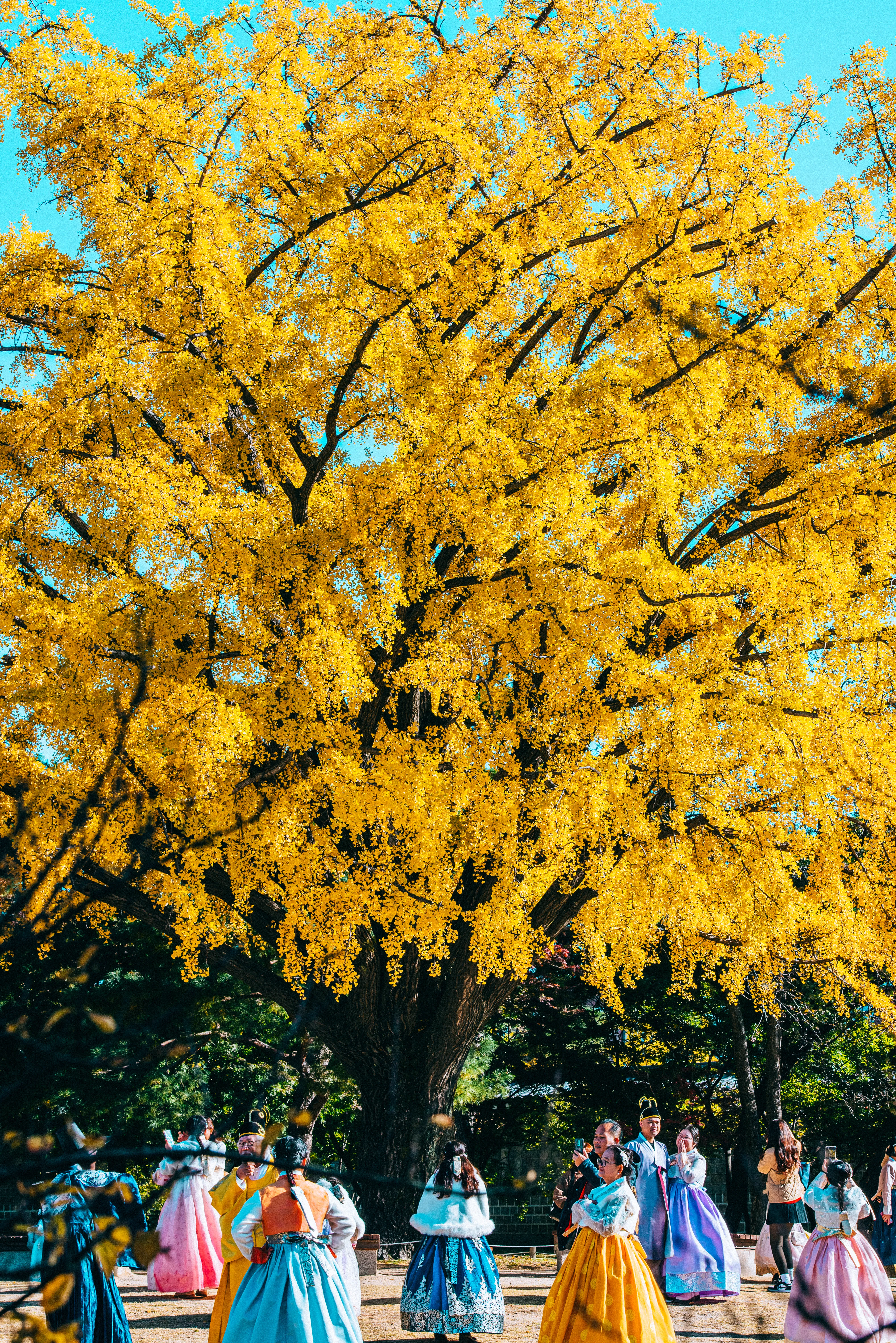 travel image