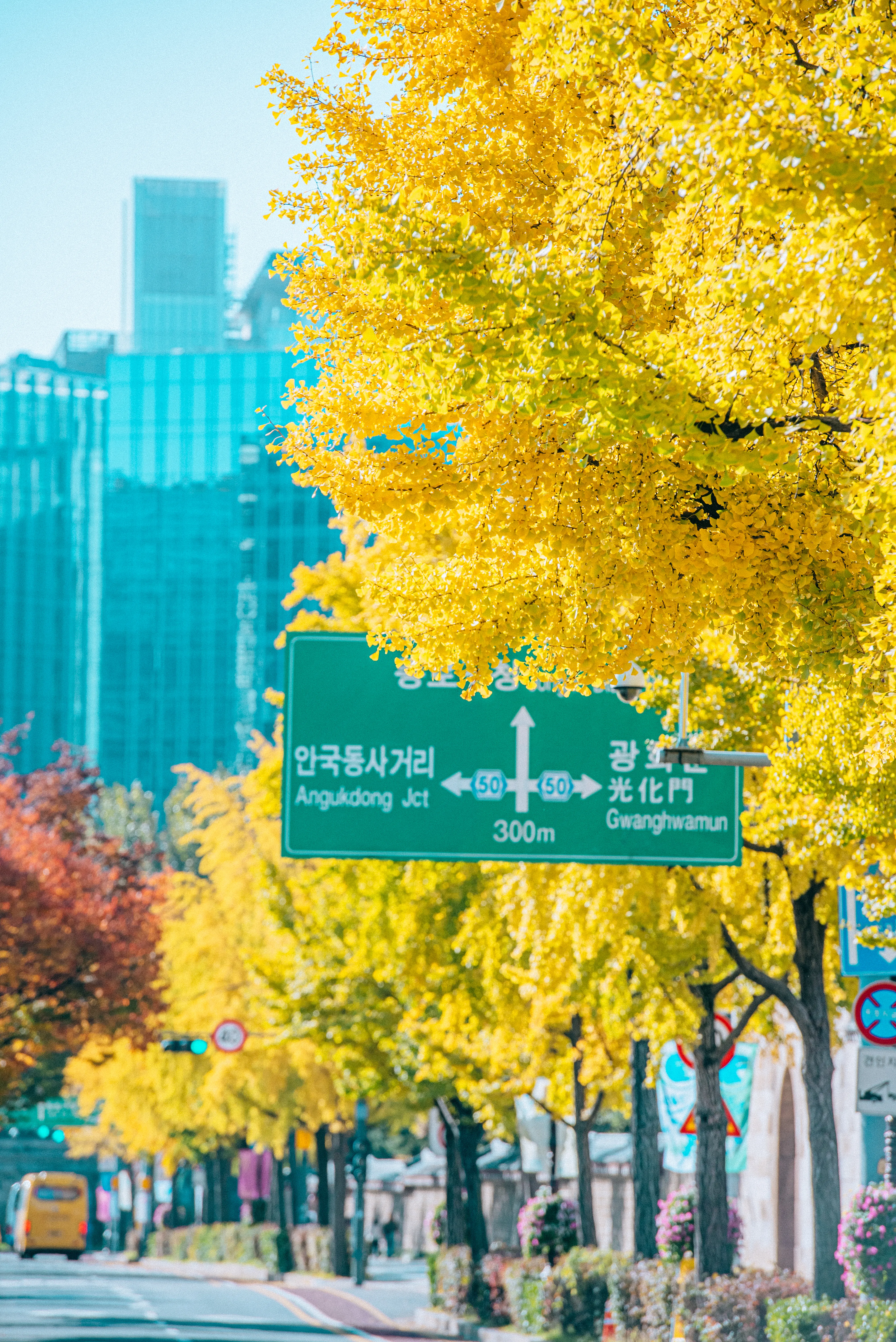 travel image
