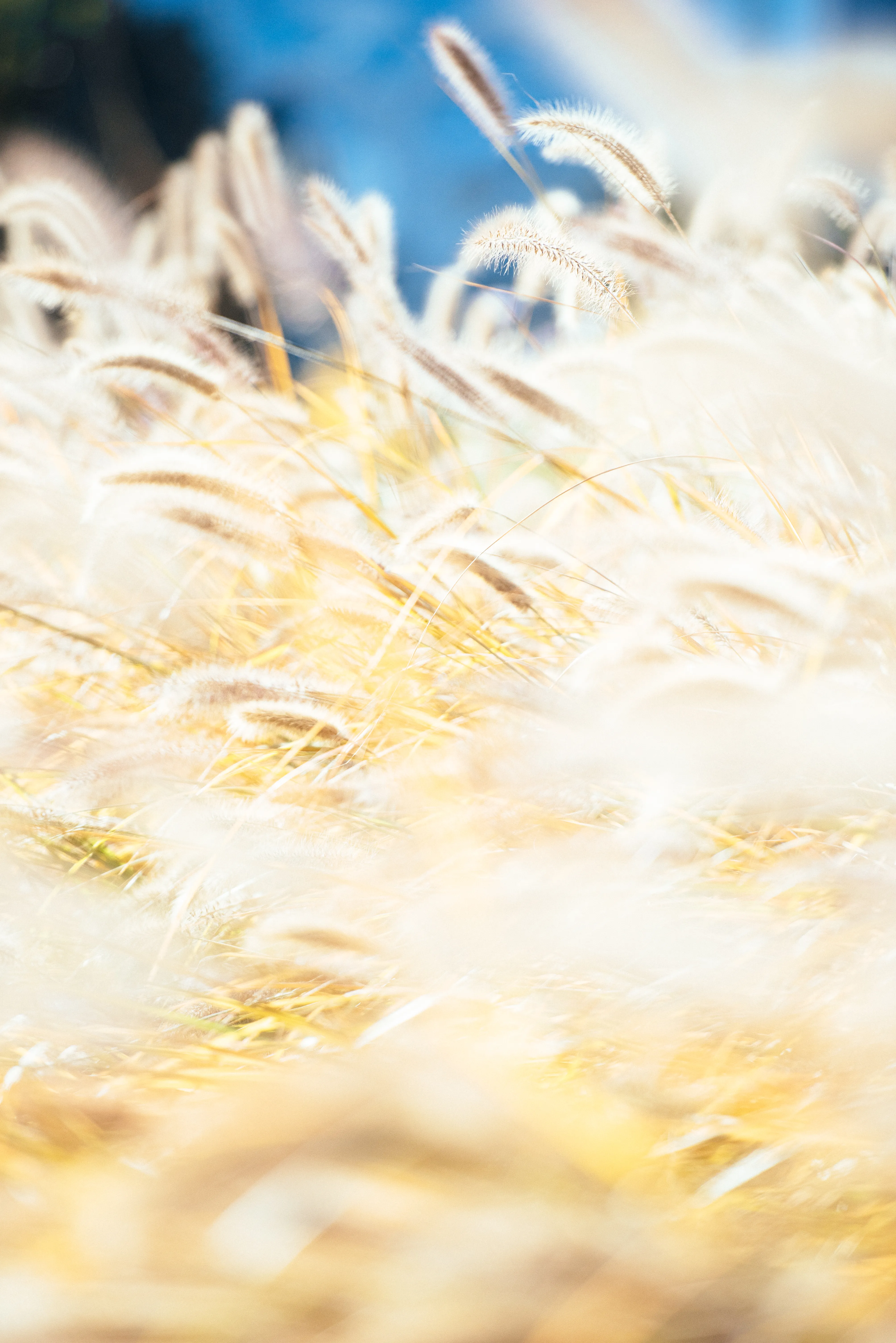 travel image