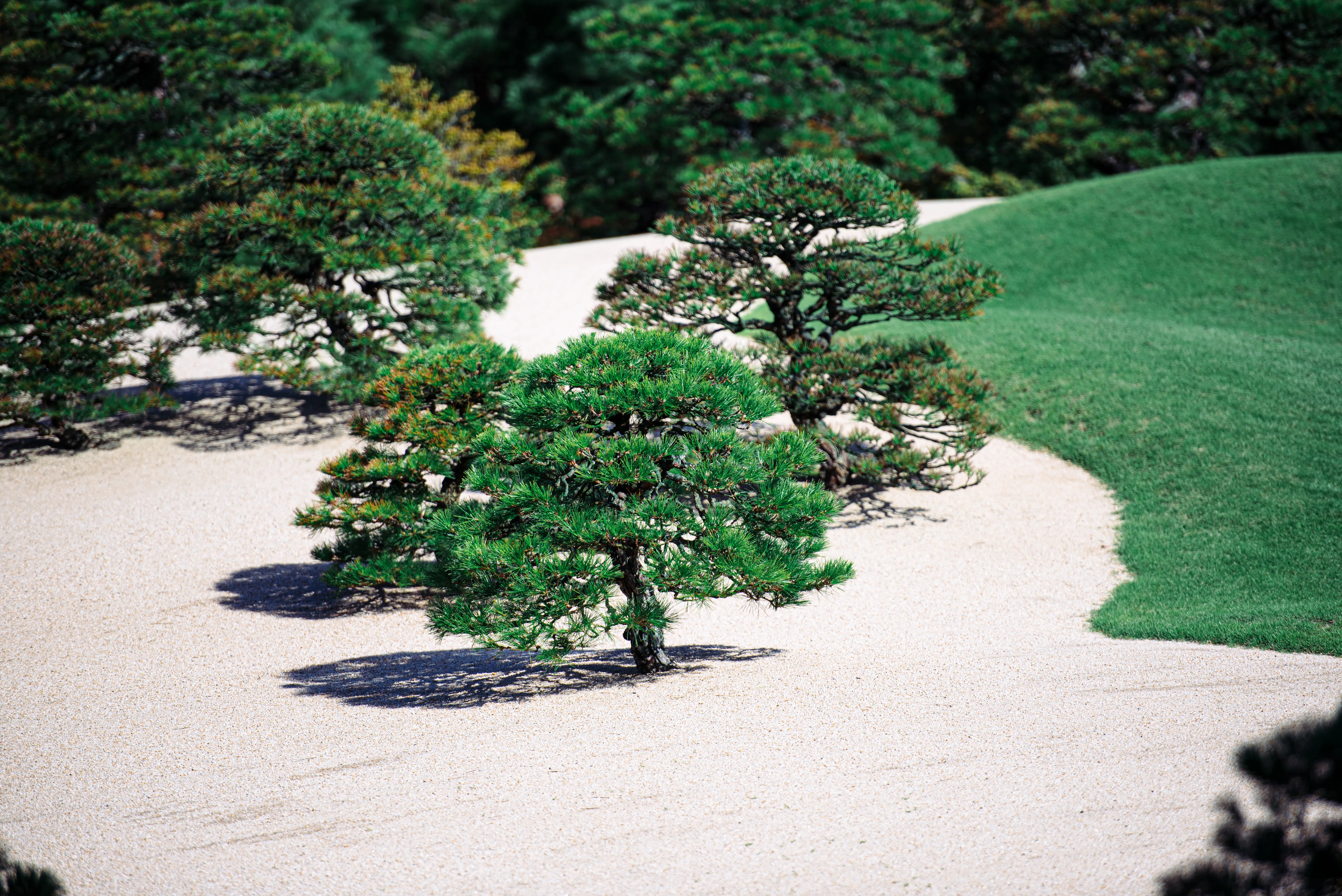 travel image