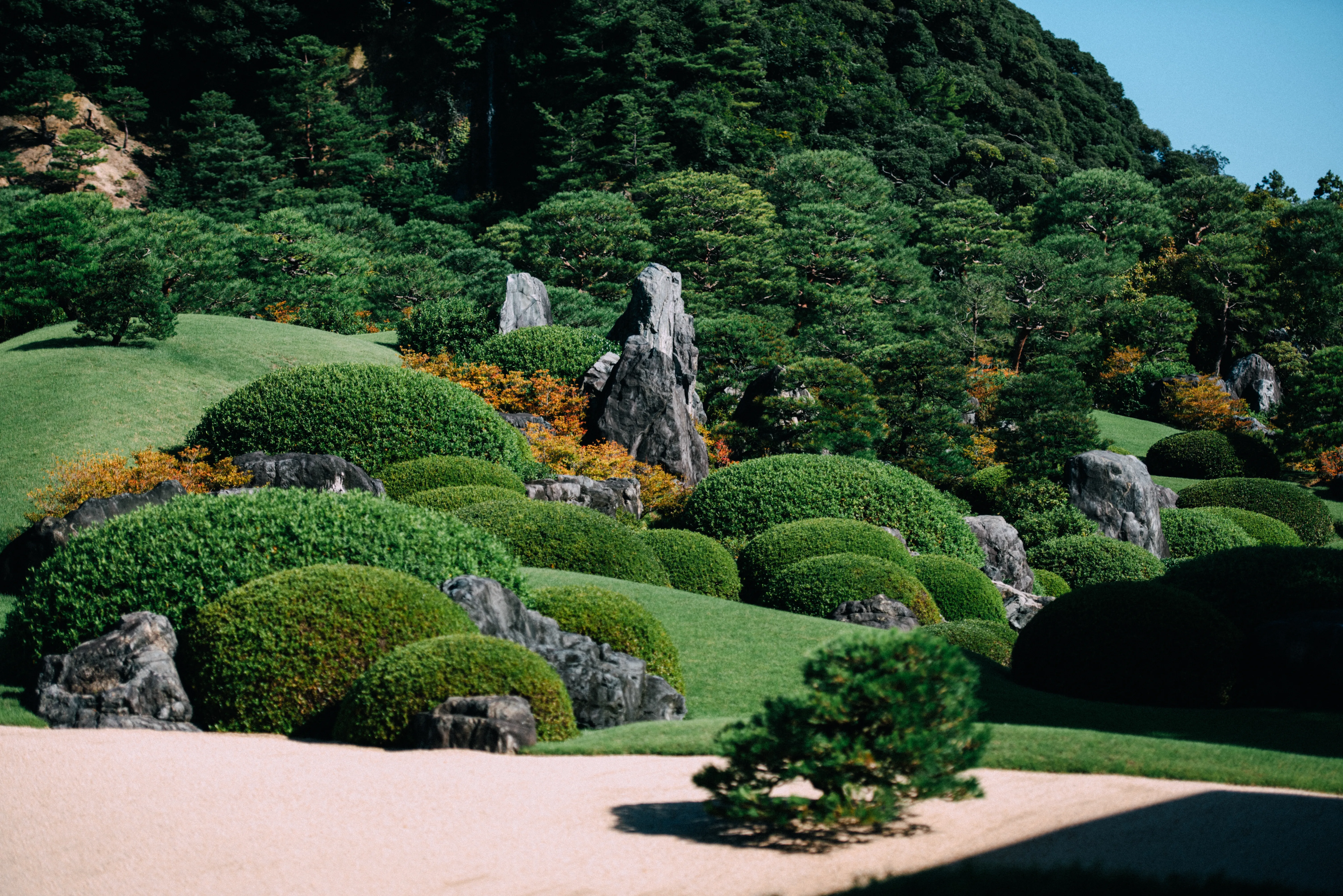travel image