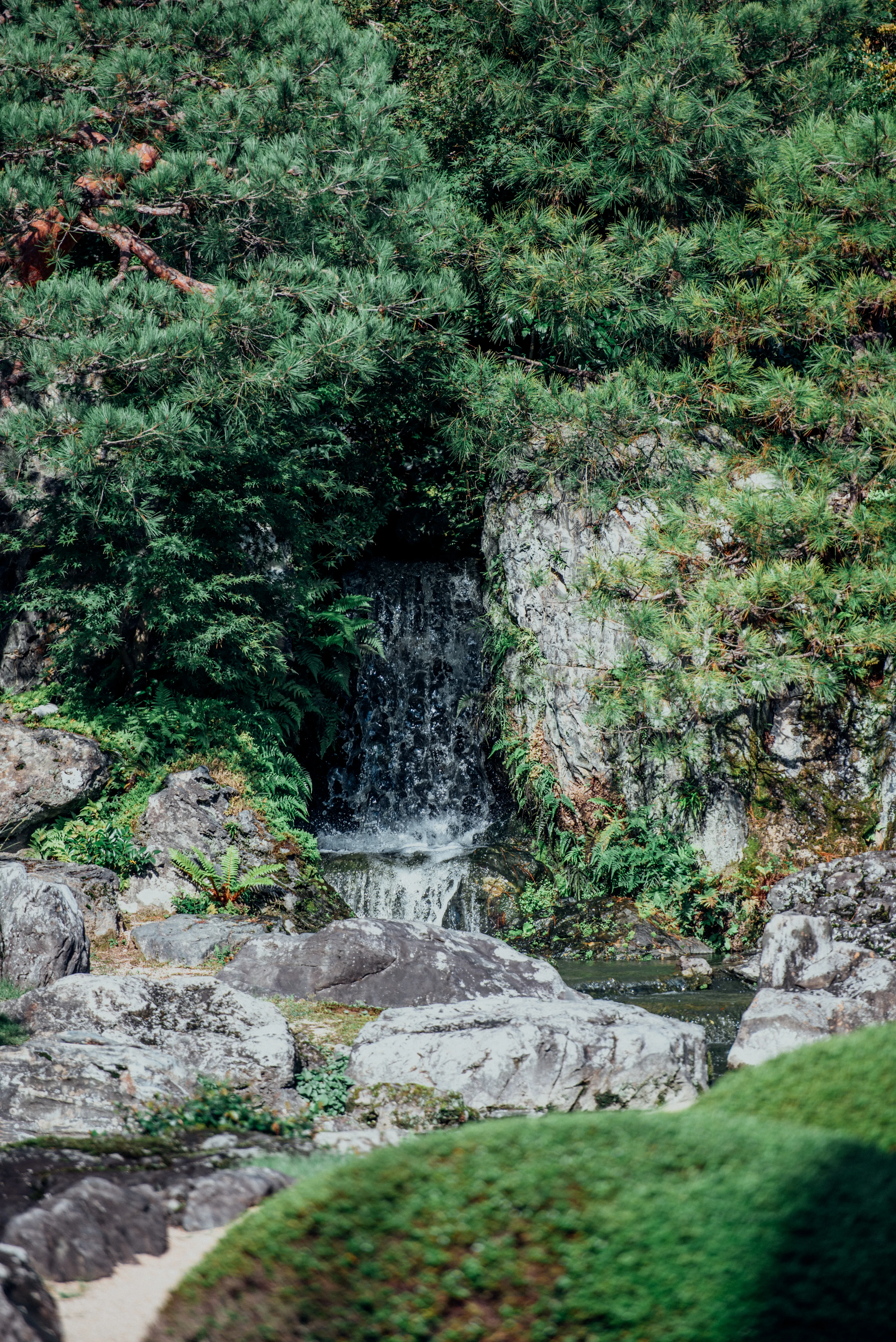 travel image