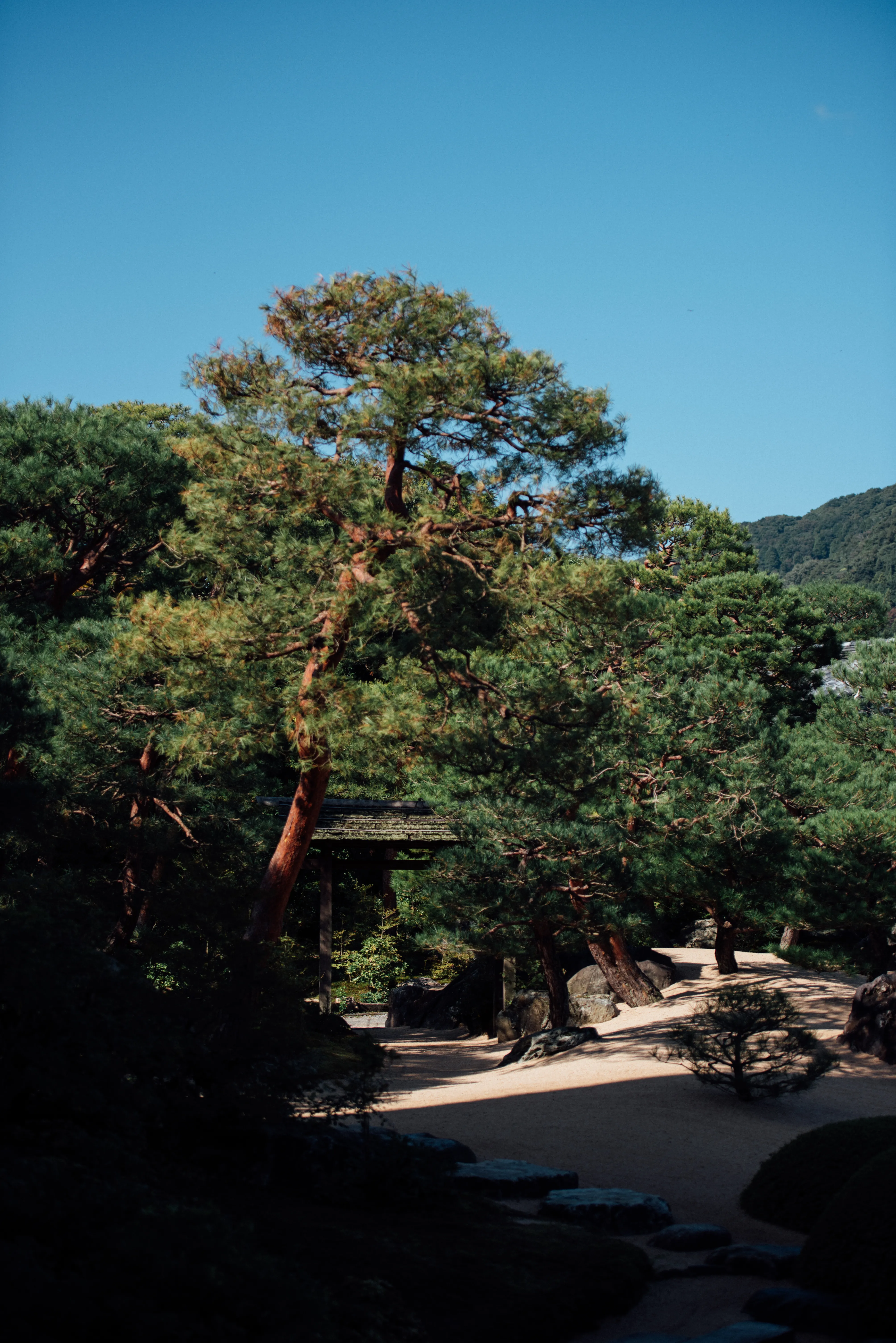 travel image