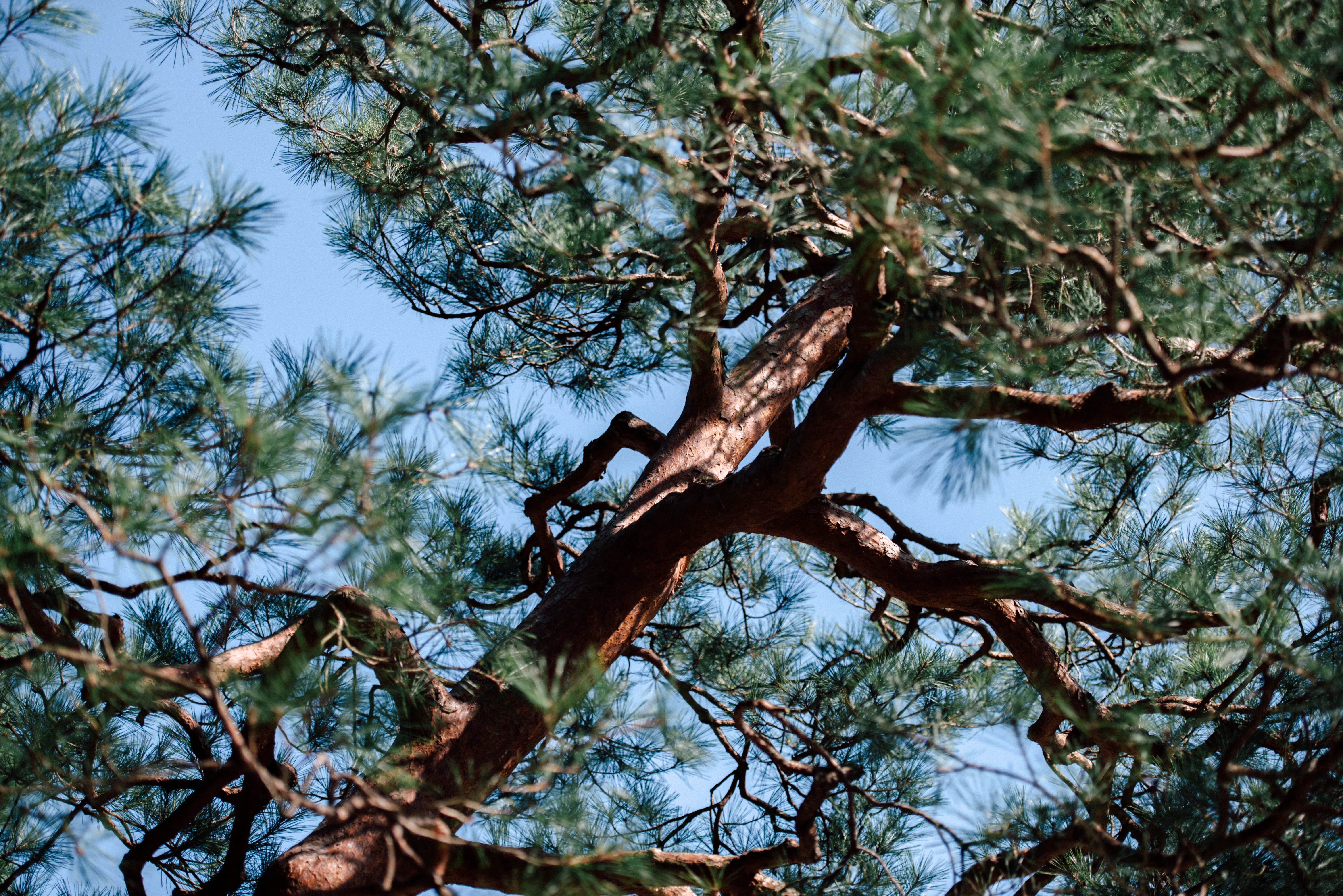 travel image