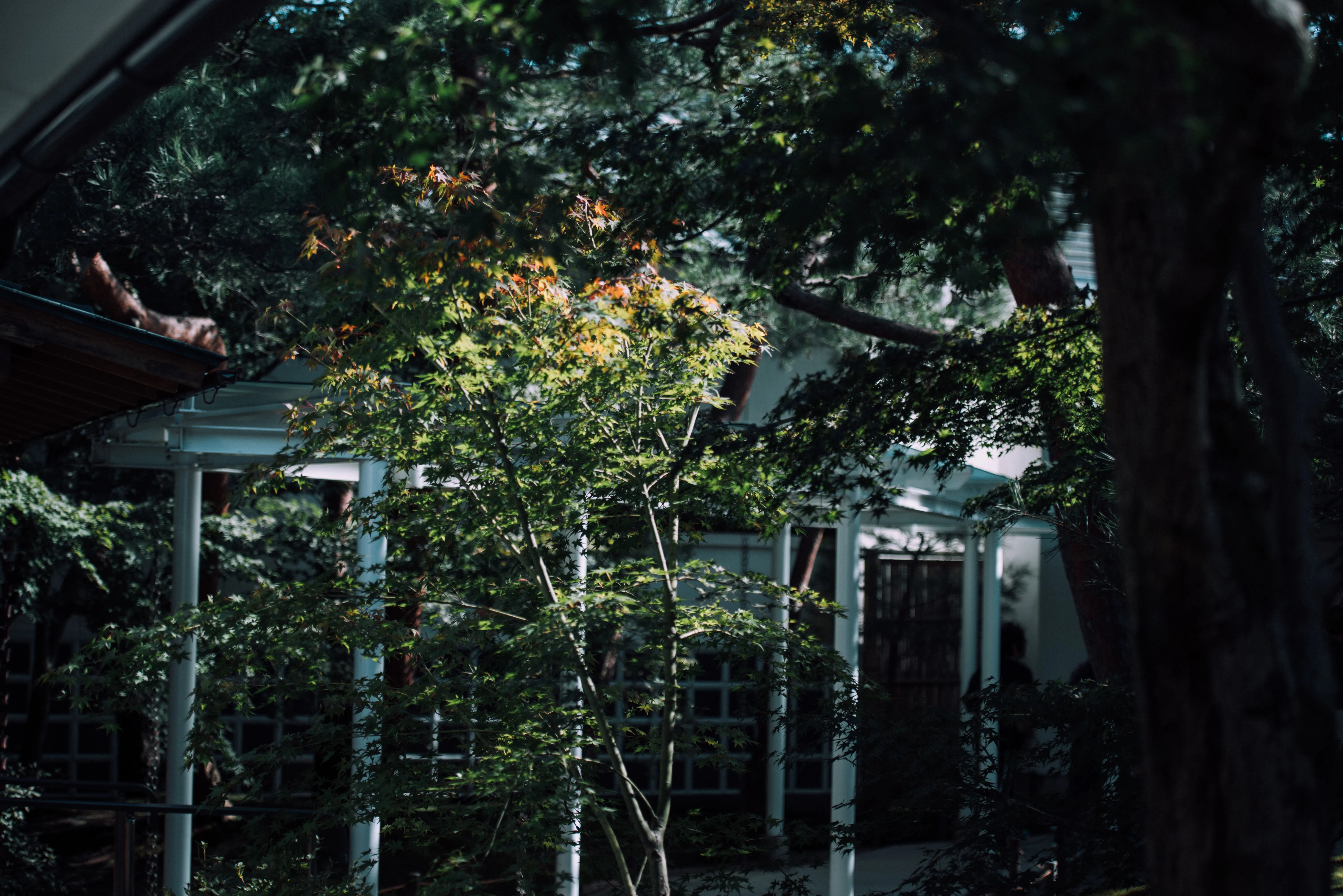 travel image
