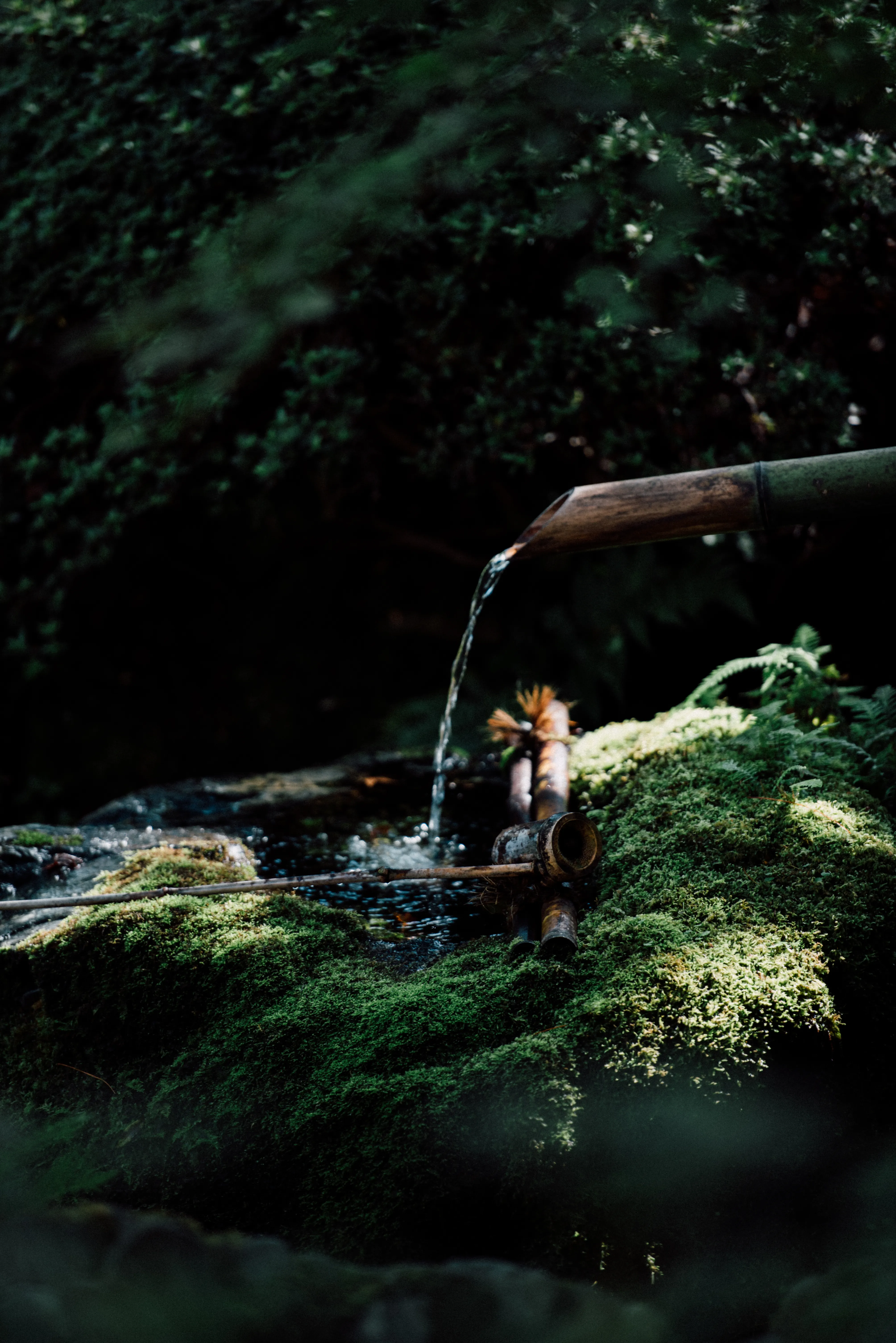 travel image
