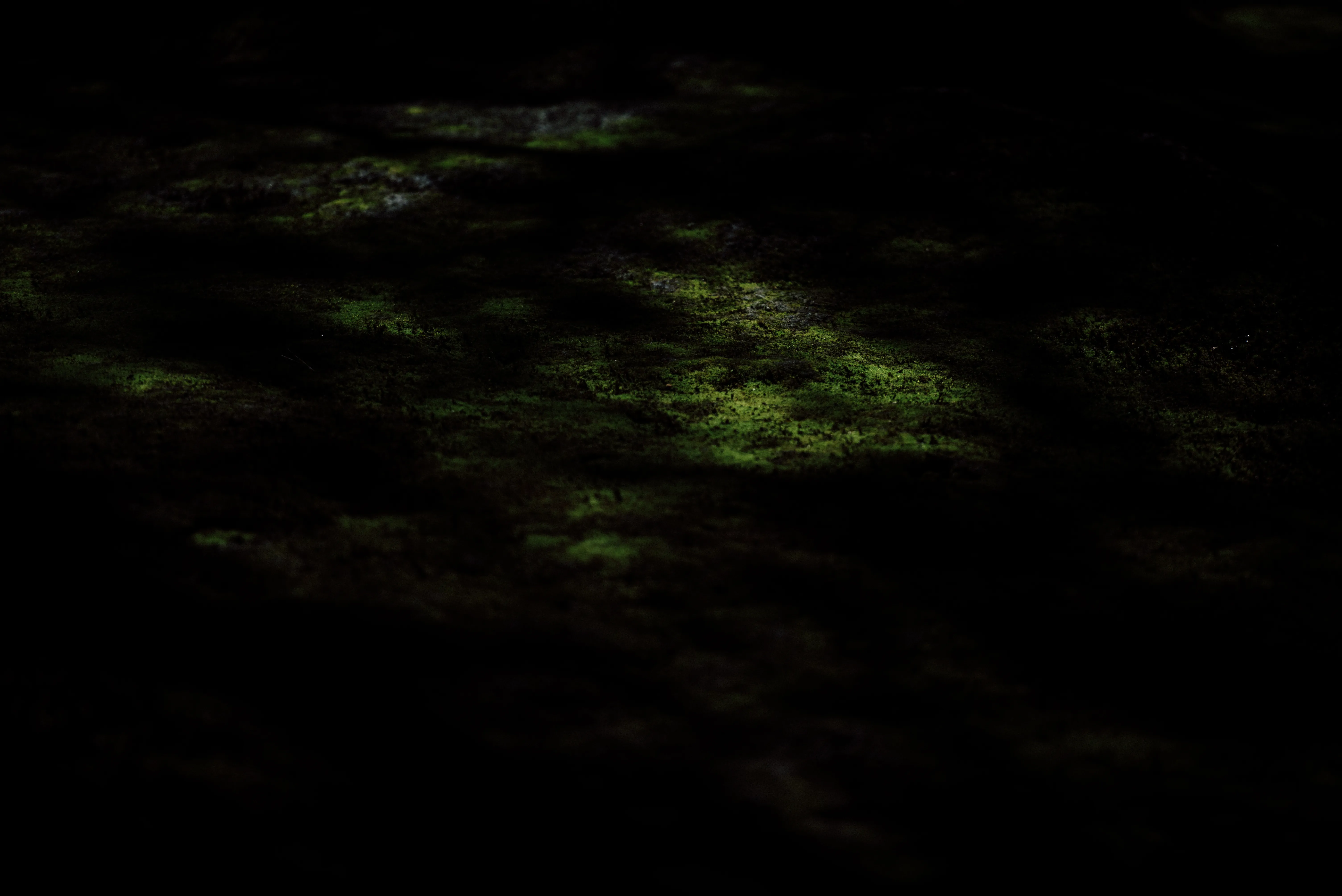 travel image