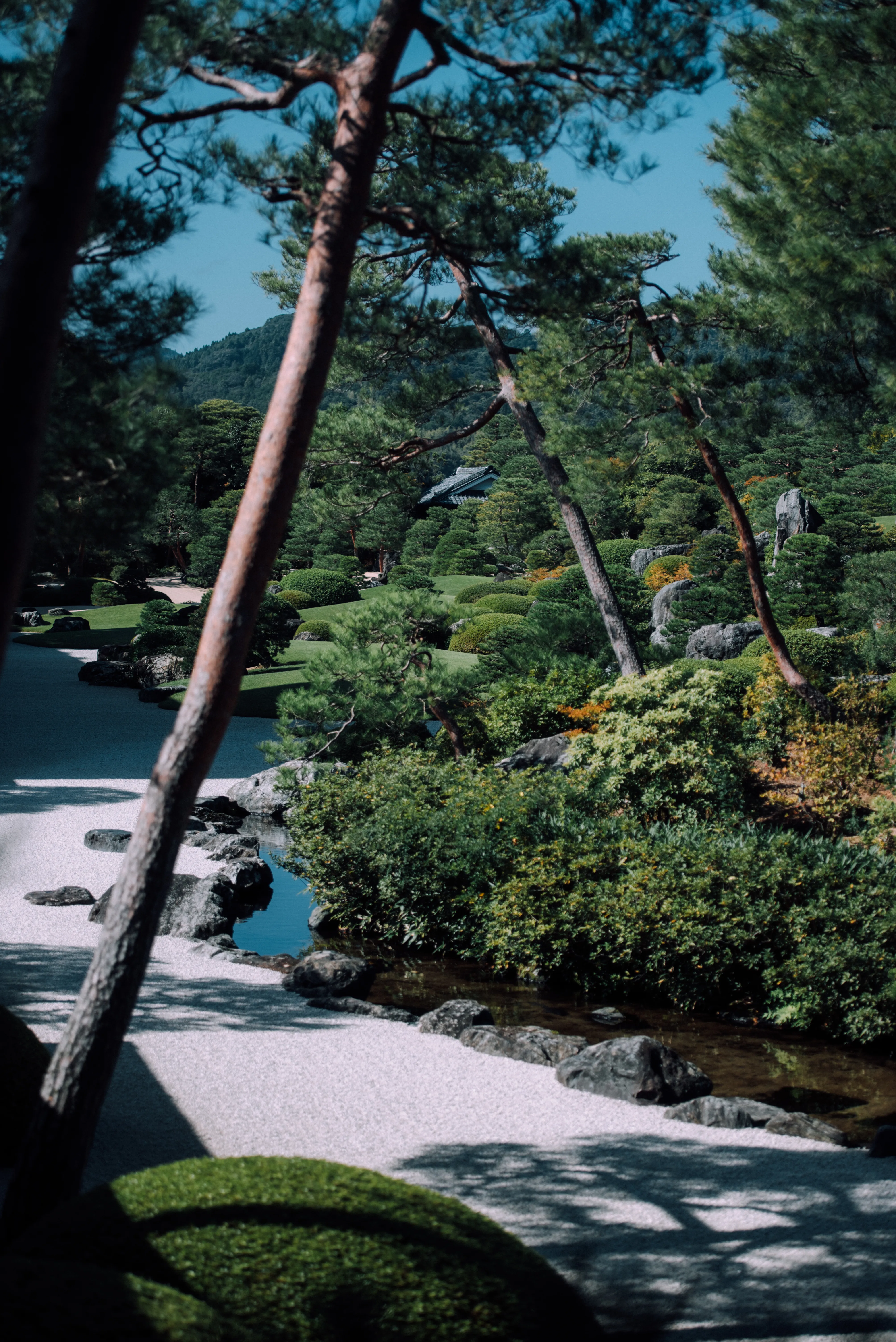 travel image