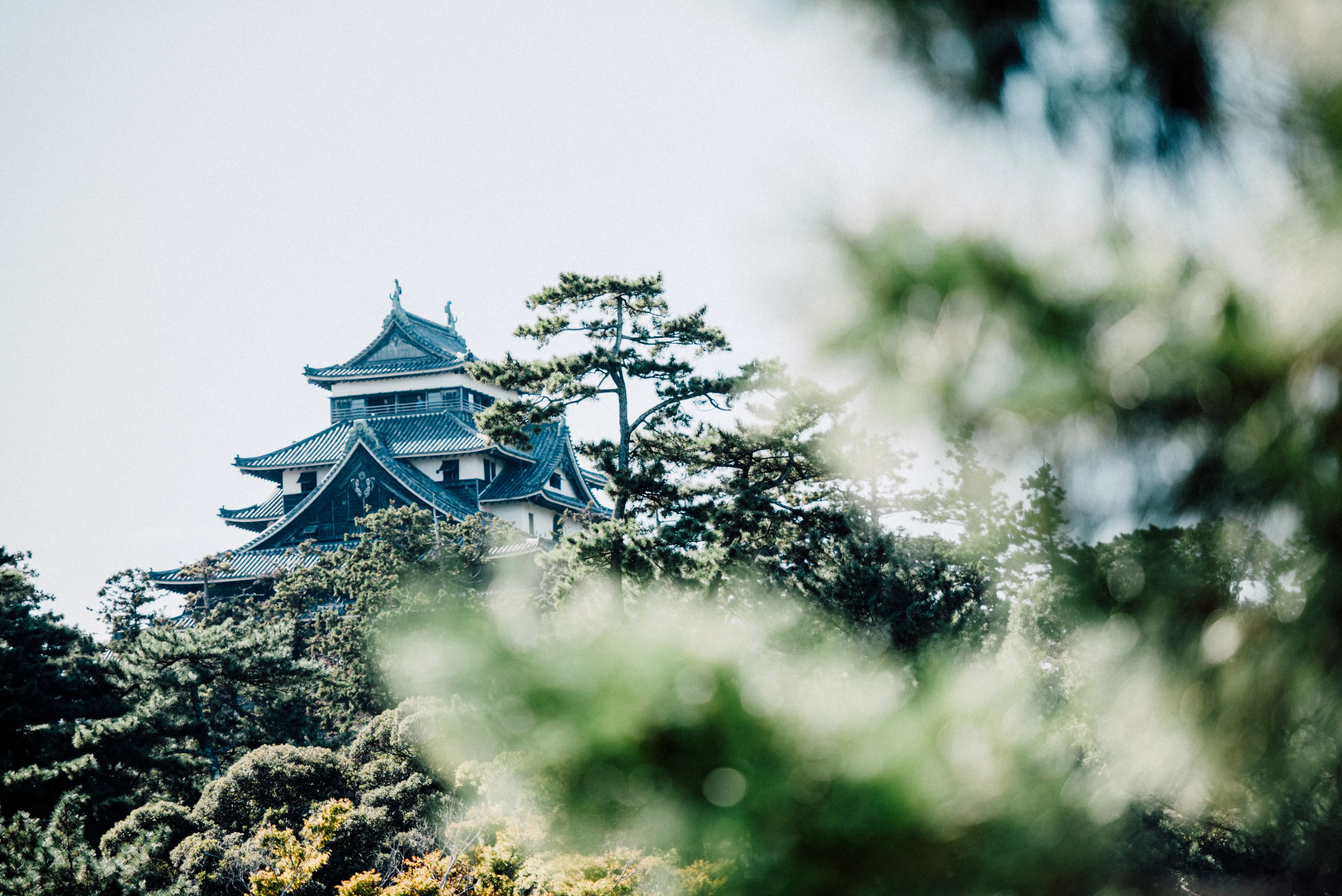 travel image