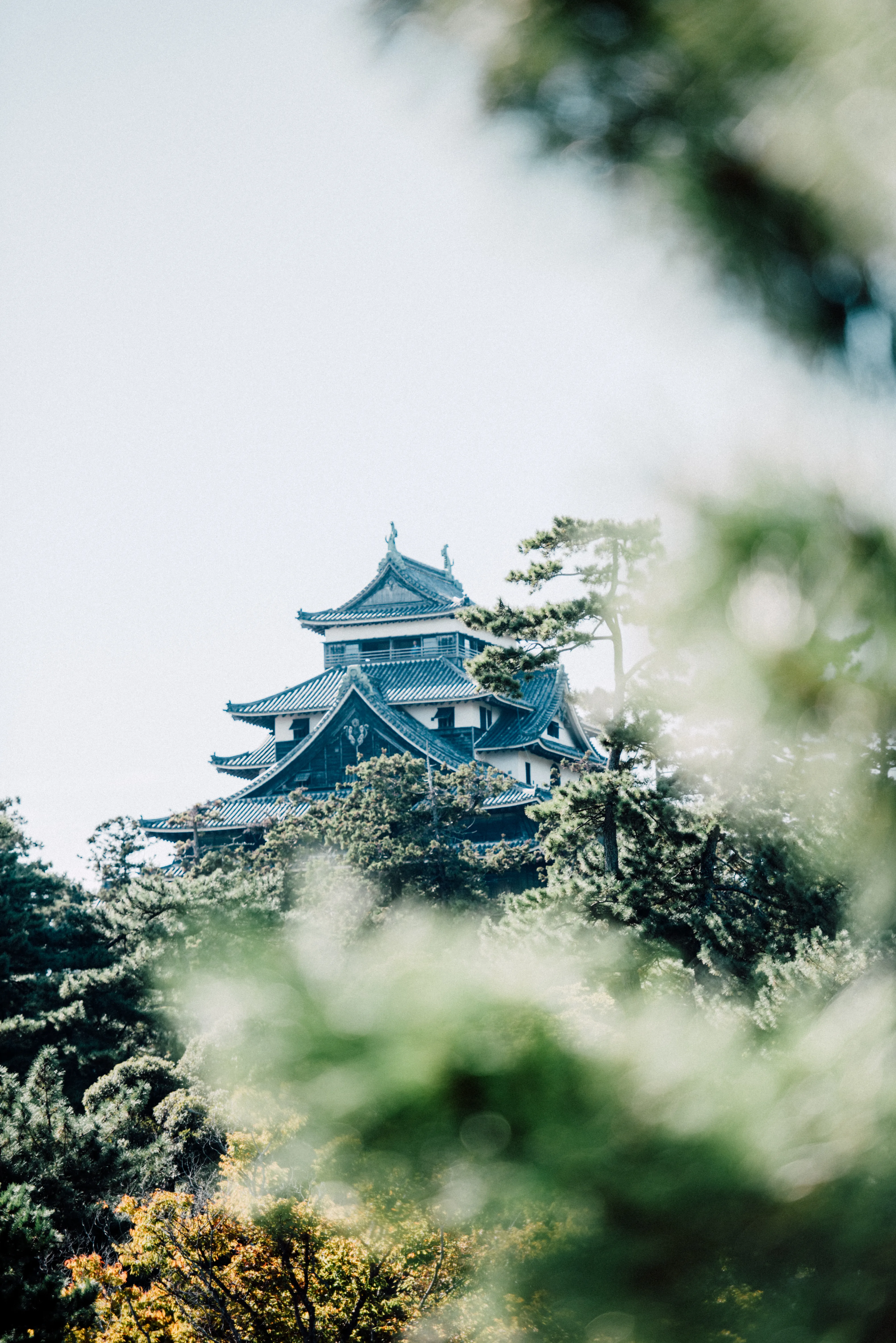 travel image