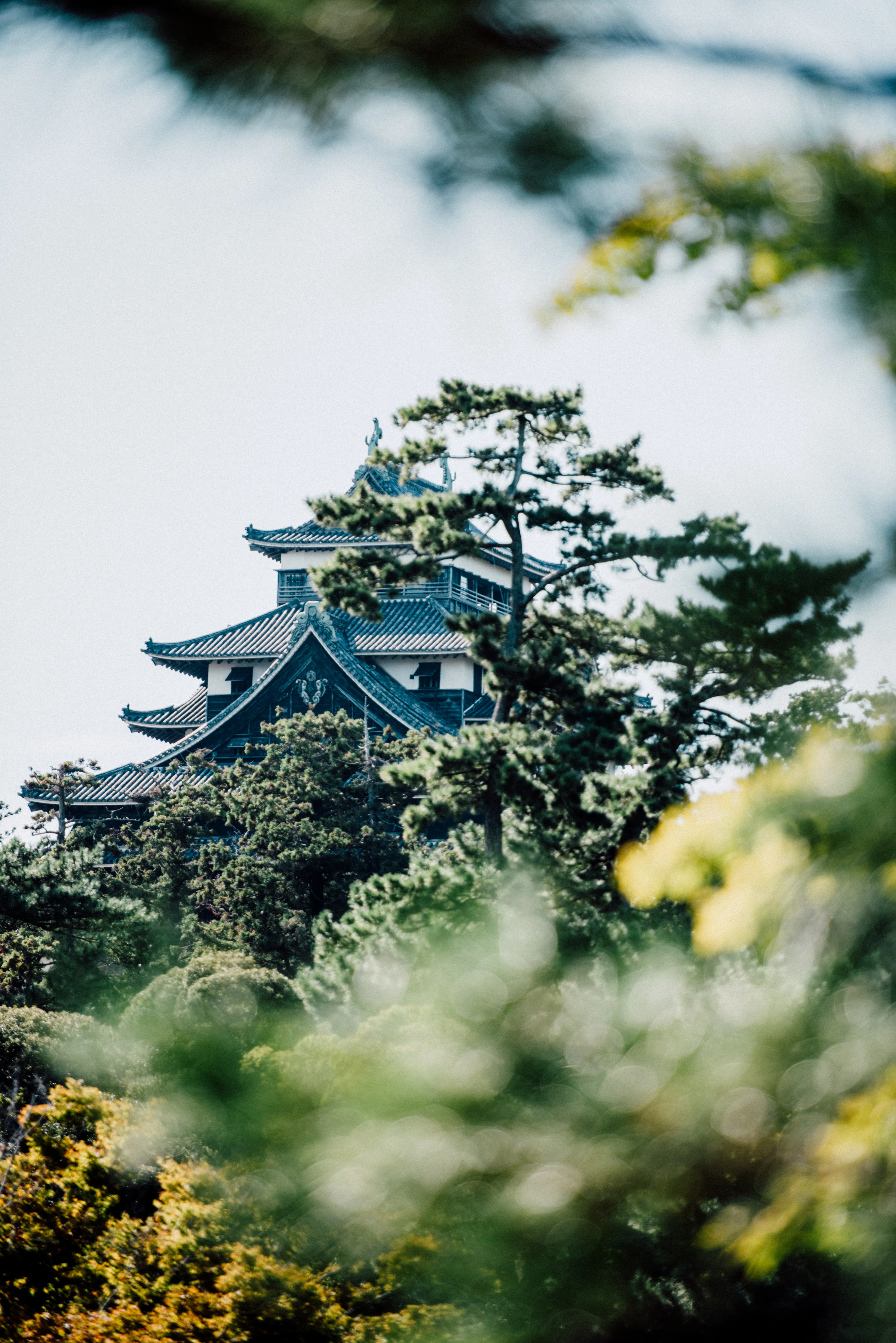 travel image