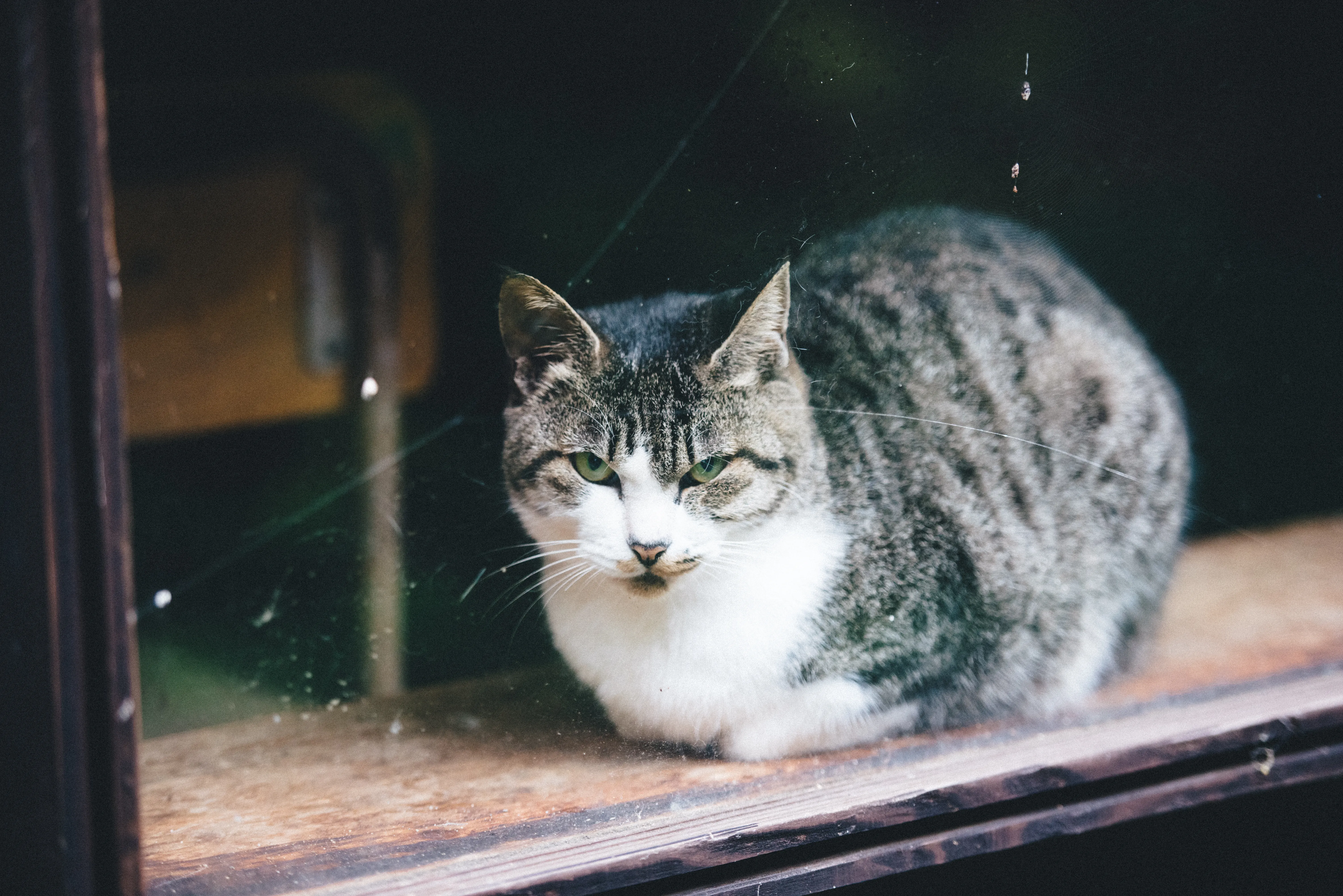 travel image