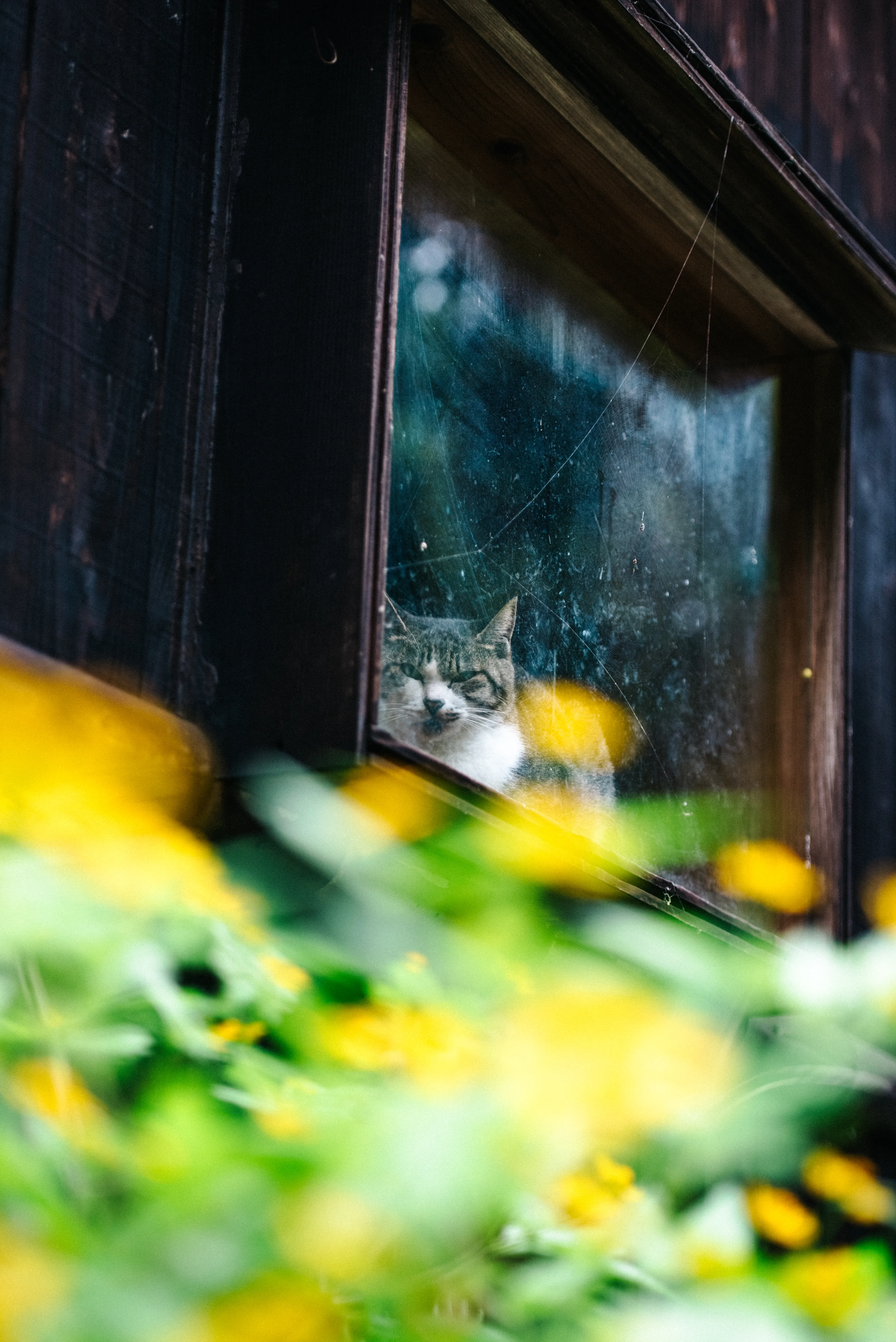 travel image