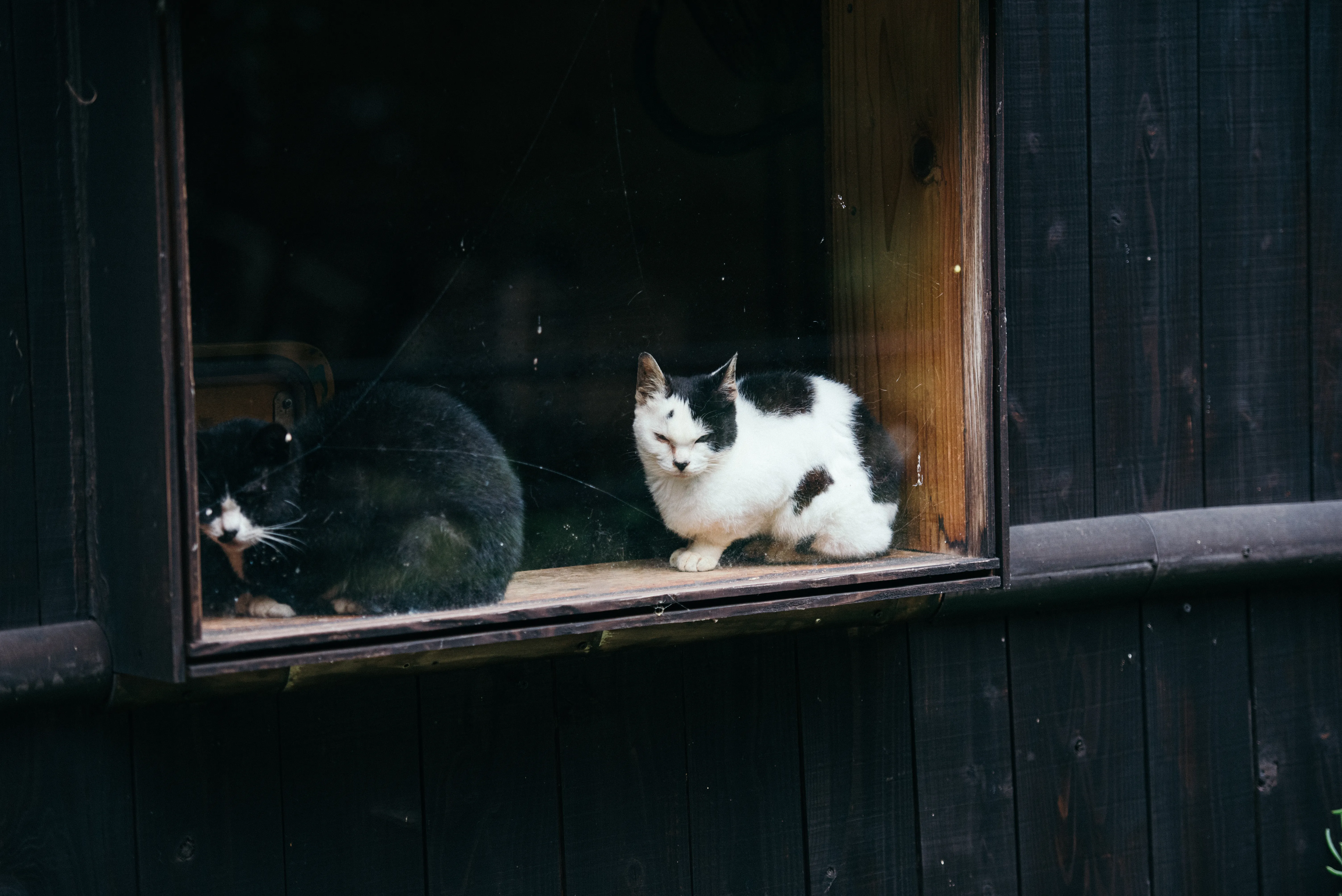 travel image